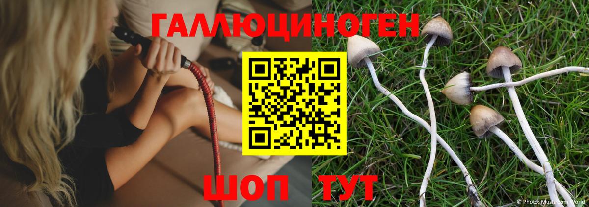 Янаул  Галлюциногенные грибы MAGIC MUSHROOMS  Вход с VPN 