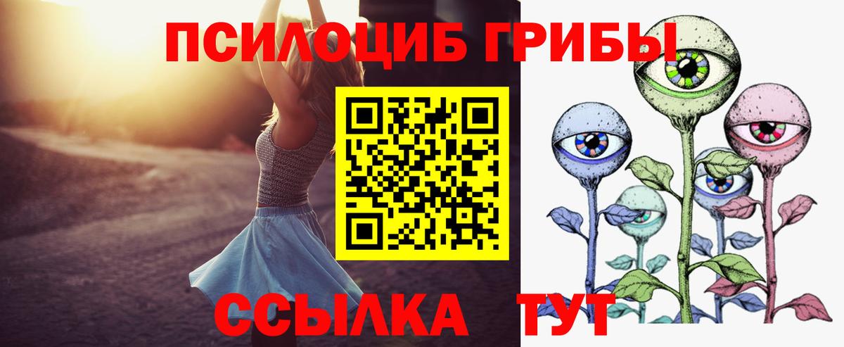 Псилоцибиновые грибы Psilocybine cubensis Янаул